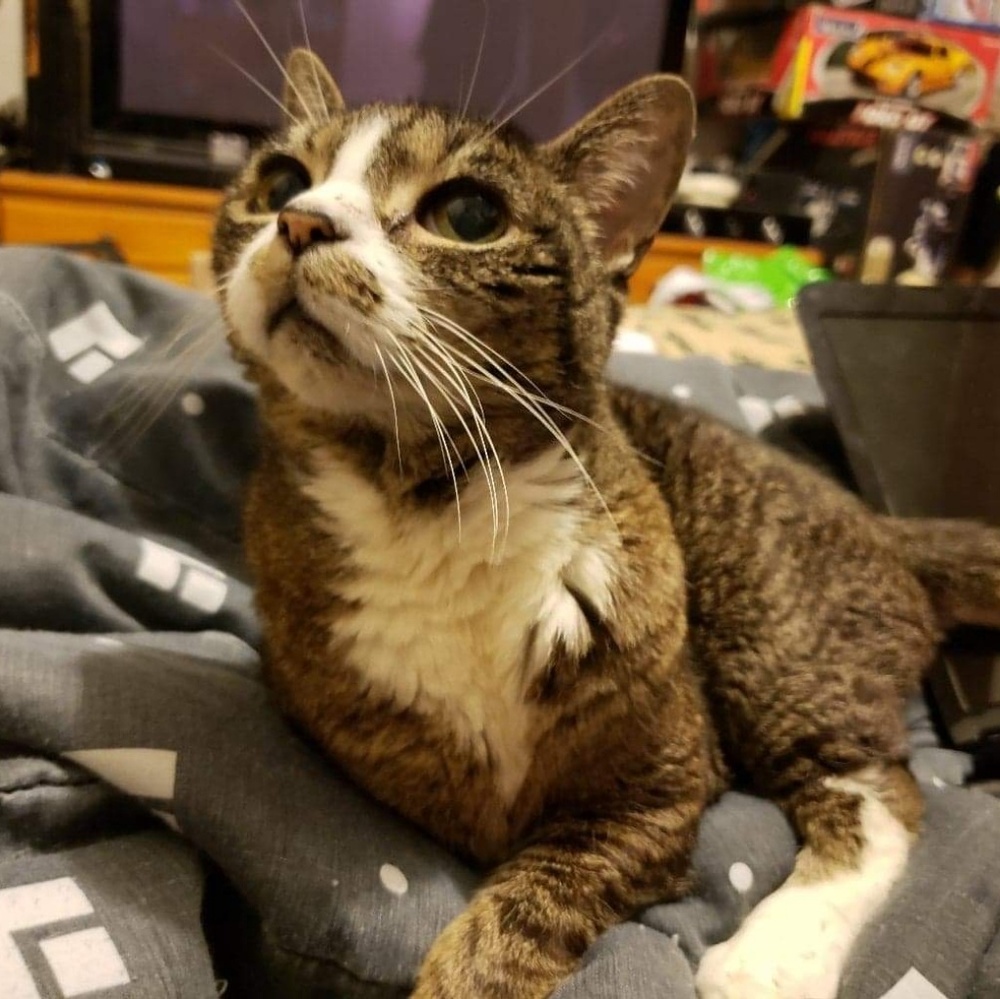 Meet your Posher, Lucinda